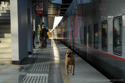 Reportaj foto de călătorie în primele căi ferate de tren cu etaj (48 poze) - triniksi