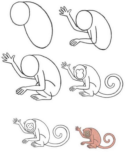 Cât de ușor să atragă o maimuță