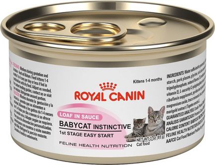 Ce produse alimentare în conformitate cu cele mai bune medicilor veterinari pentru pisici