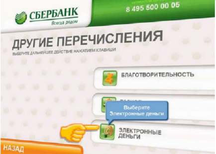 Cum se traduce în pungă Qiwi cu carte de Sberbank - ghid pas cu pas și video