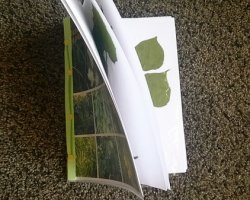 Cum sa faci un ierbar cu mâinile lor în școală, foto, video (cu mâinile) Cum sa faci un ierbar cu mâinile lor în școală, foto, video