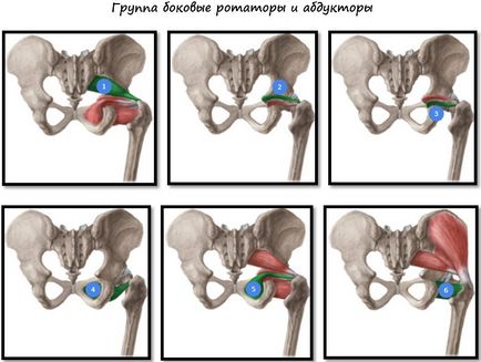 Cum de a elimina grasimea din lyashek, coapsa interioară