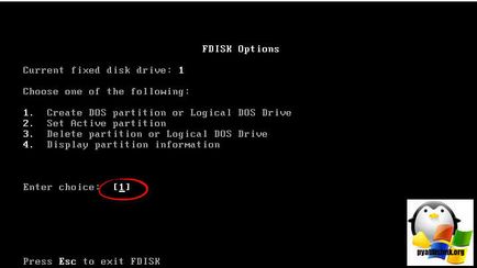 Cum se instalează pe un laptop HP FreeDOS 15-ay043ur, stabilind ferestre și servere Linux
