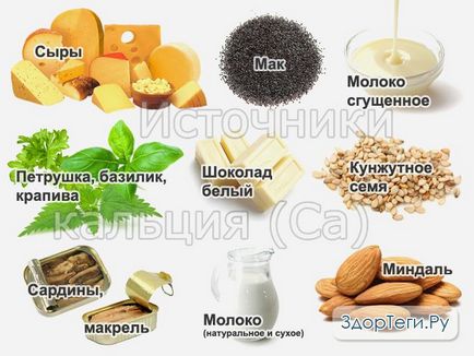 Calciul în lipsa corpului de produse în exces (alimente de calciu) Calciul în lipsa corpului de produse în exces
