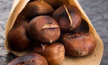 Chestnut beneficii și rău, cum să gătească, păstrând proprietățile utile, contraindicații