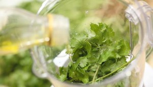 beneficii și daune cilantro pentru sănătatea femeilor și a bărbaților ale corpului