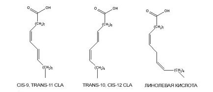 Acid linoleic conjugat (cla)