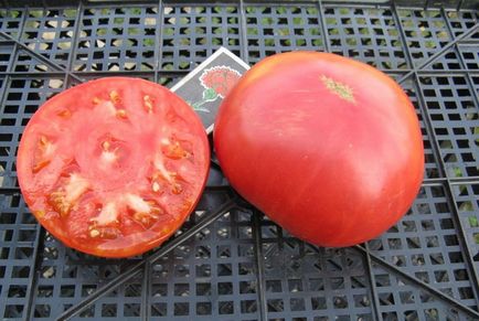 Cele mai bune soiuri de tomate descriere și fotografie, fermă acasă