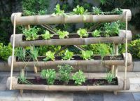 Efectuarea gradina de legume cu propriile sale mâini