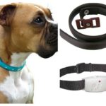 Zgarde pentru câini împotriva puricilor și căpușelor feedback-ul și instrucțiunile