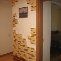 Decorarea pereților de piatră artificială în hol cu ​​o fotografie opțiuni de design