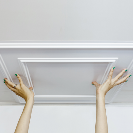 Panouri pentru instalare tavan cu mâinile (23 poze) - Casă și grădină