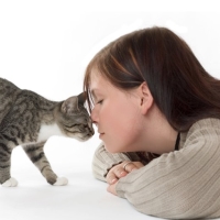De ce nu se poate săruta pisicile 1