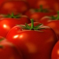 Tomate - este un fruct sau legumă