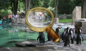 Zoo Praga - cum se ajunge acolo, orele de deschidere, prețul biletelor