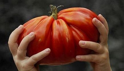 Cât de mult în greutate unul tomate