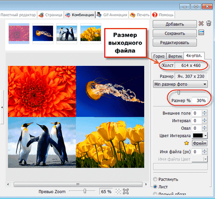 Punerea imagini într-un singur program de PhotoScape