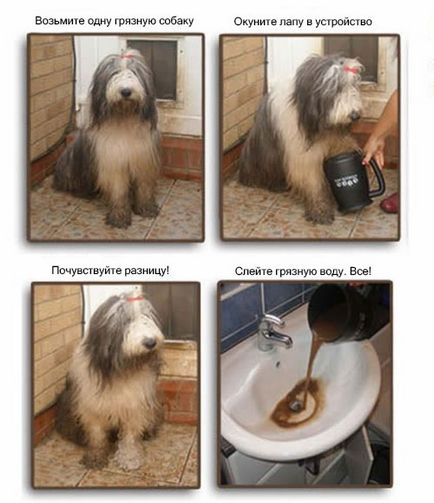 gadget-uri moderne pentru câini - un câine în casă