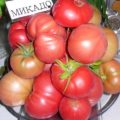 Tomate țăran - descrierea soiurilor de tomate