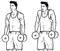 Exercitii cu gantere la domiciliu leagăn biceps, triceps, umeri, piept, spate și picioare la domiciliu