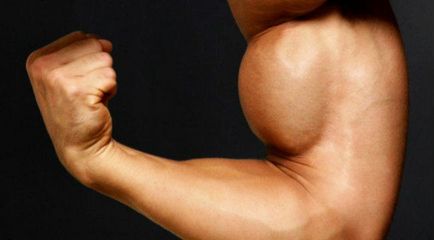 Exercitii cu gantere la domiciliu leagăn biceps, triceps, umeri, piept, spate și picioare la domiciliu