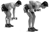 Exercitii cu gantere la domiciliu leagăn biceps, triceps, umeri, piept, spate și picioare la domiciliu
