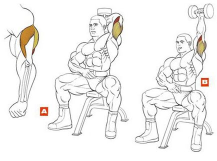 Exercitarea cu triceps gantera - complex pentru dezvoltarea musculaturii