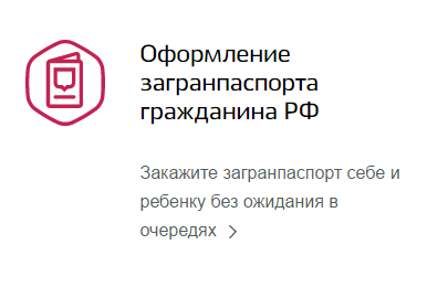 Pașaport prin intermediul serviciilor publice - înregistrarea utilizatorului prin intermediul internetului