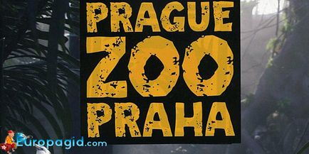 Zoo la Praga în detaliu modul de a obține programul de la grădina zoologică din Praga