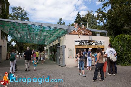 Zoo la Praga în detaliu modul de a obține programul de la grădina zoologică din Praga