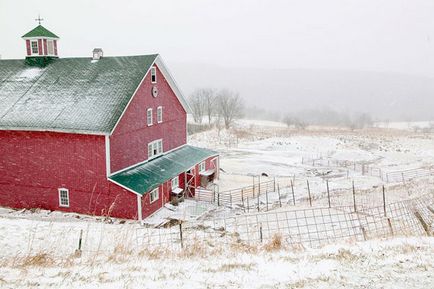 13 Sfaturi pentru fotografiere zăpadă