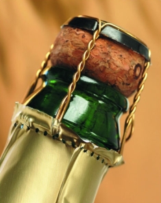 15 fapte despre șampanie