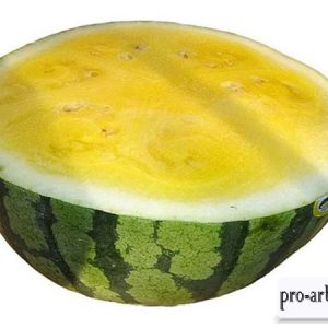 Watermelon - un fruct, un fruct sau legumă