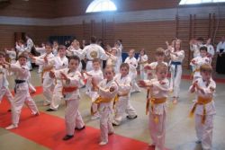 Aikido pentru copii