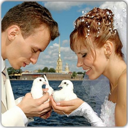 porumbei albi pentru nunta traditie populara, semnele, păsările încep