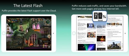 Browsere cu suport pentru Adobe Flash Player pentru iPad free download