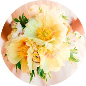 cele mai bune fotografii Miresei buchet de buchete 2017 (moda) cele mai bune fotografii buchet de mireasa lui de buchete 2017