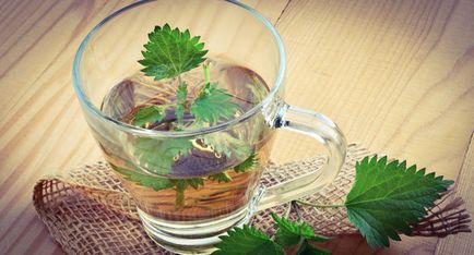 Ceaiul de urzica beneficii și efecte nocive asupra organismului uman