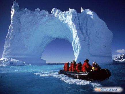 Ceea ce distinge Arctica din Antarctica