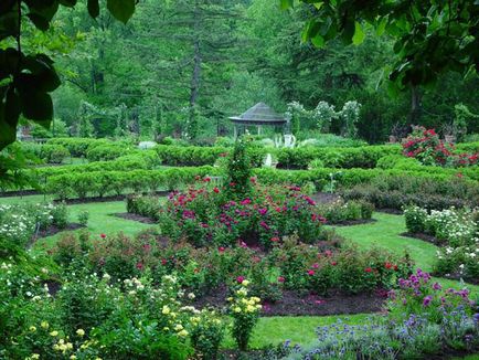 Ce este arborete și grădini botanice