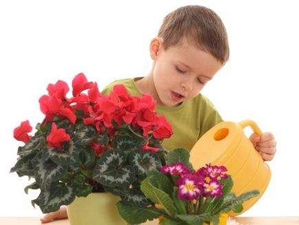 Flori Nursery orice utile