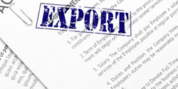 Declarația de export - informații vamale