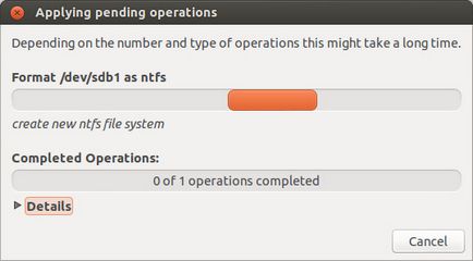 Formatarea pendrive în Linux, losst