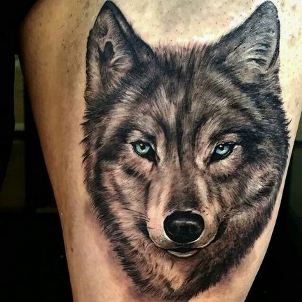 Fotografii și tatuaj valoare lup