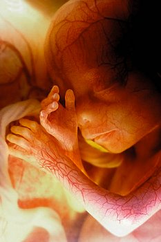 Fetale hipoxie - cauze, tratament, prevenirea hipoxie fetale în timpul sarcinii