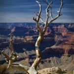 Grand Canyon din SUA - National Park fotografie, descriere