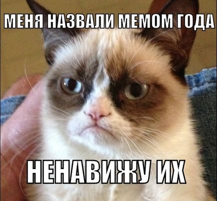 grumpy cat, memepedia