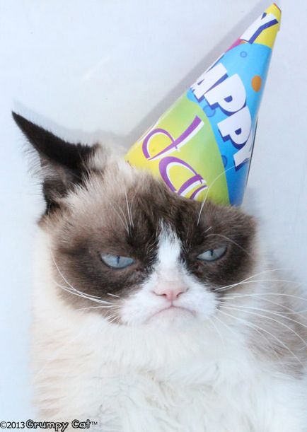 grumpy cat, memepedia