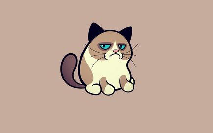 grumpy cat, memepedia