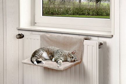 Idei cum să canapea pentru pisica sau pisica cu propriile sale mâini - o pisică în casă